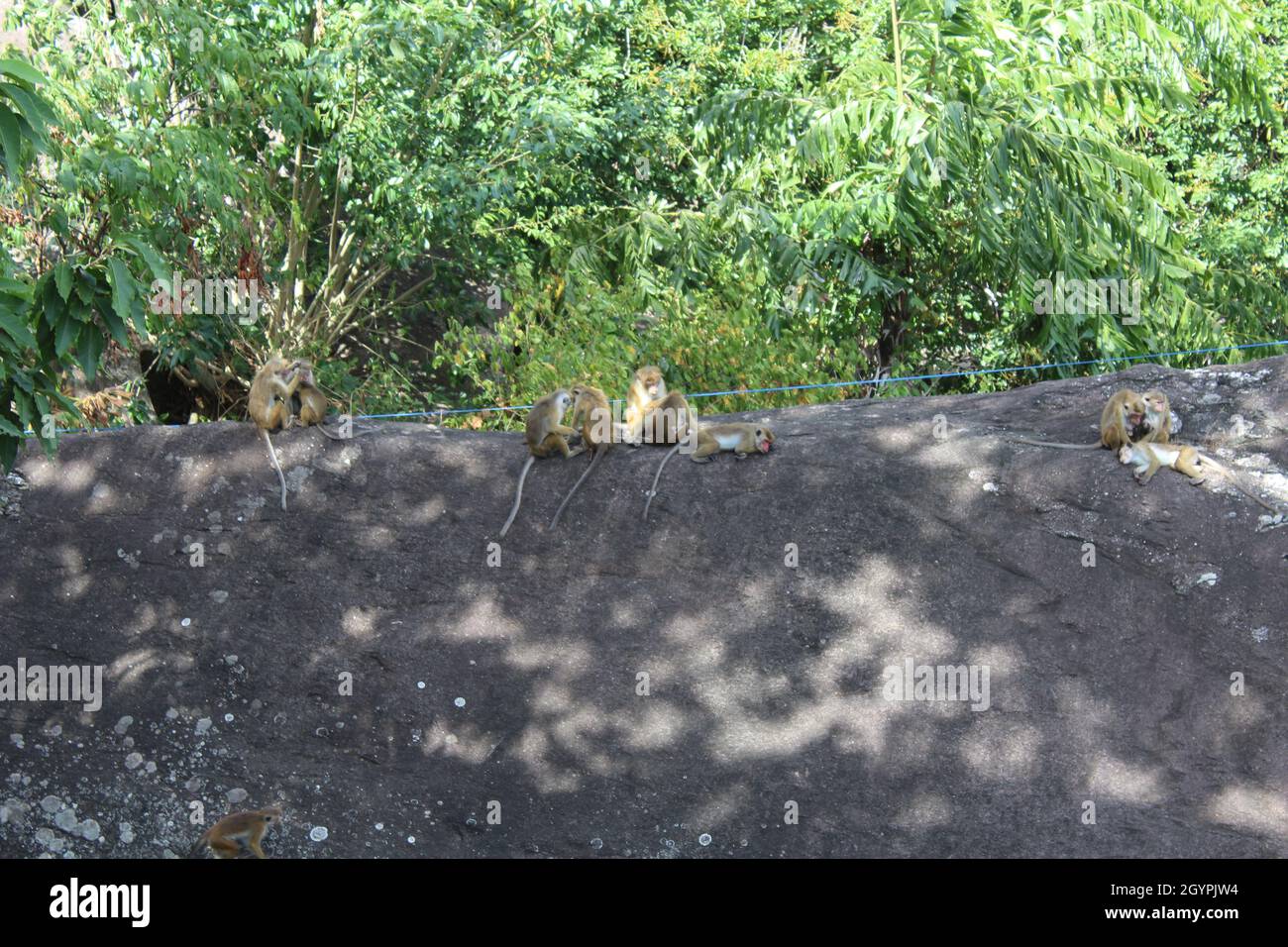 Madre della natura crea tutto per noi Foto Stock