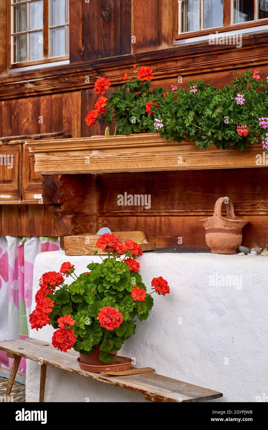 Dettaglio chalet svizzero con fiori di geranio rosso - Simmental, Berner Oberland, Svizzera Foto Stock