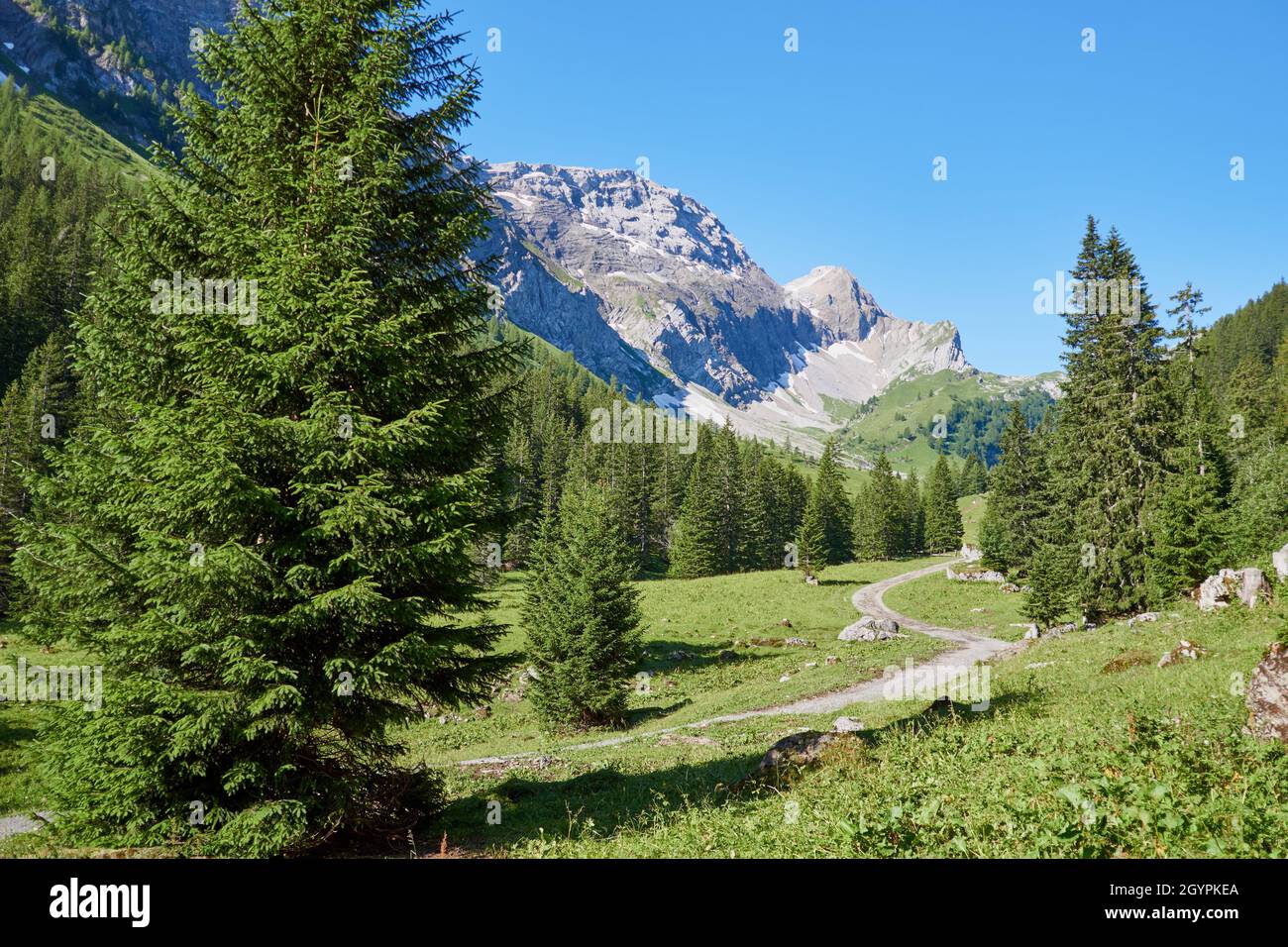Tipico paesaggio montano svizzero a Iffigenalp sopra Lenk in Svizzera Foto Stock
