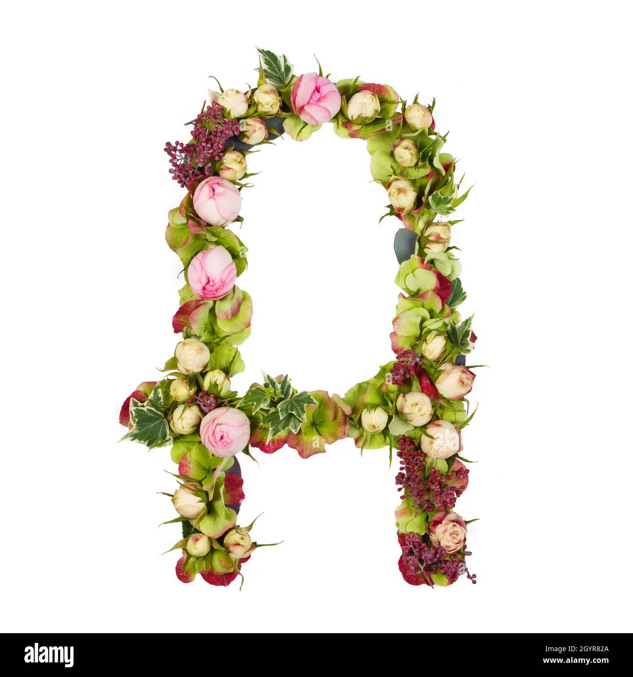 Lettera maiuscola parte di un insieme di lettere, numeri e simboli dell' alfabeto realizzato con fiori, rami e foglie su sfondo bianco Foto stock -  Alamy