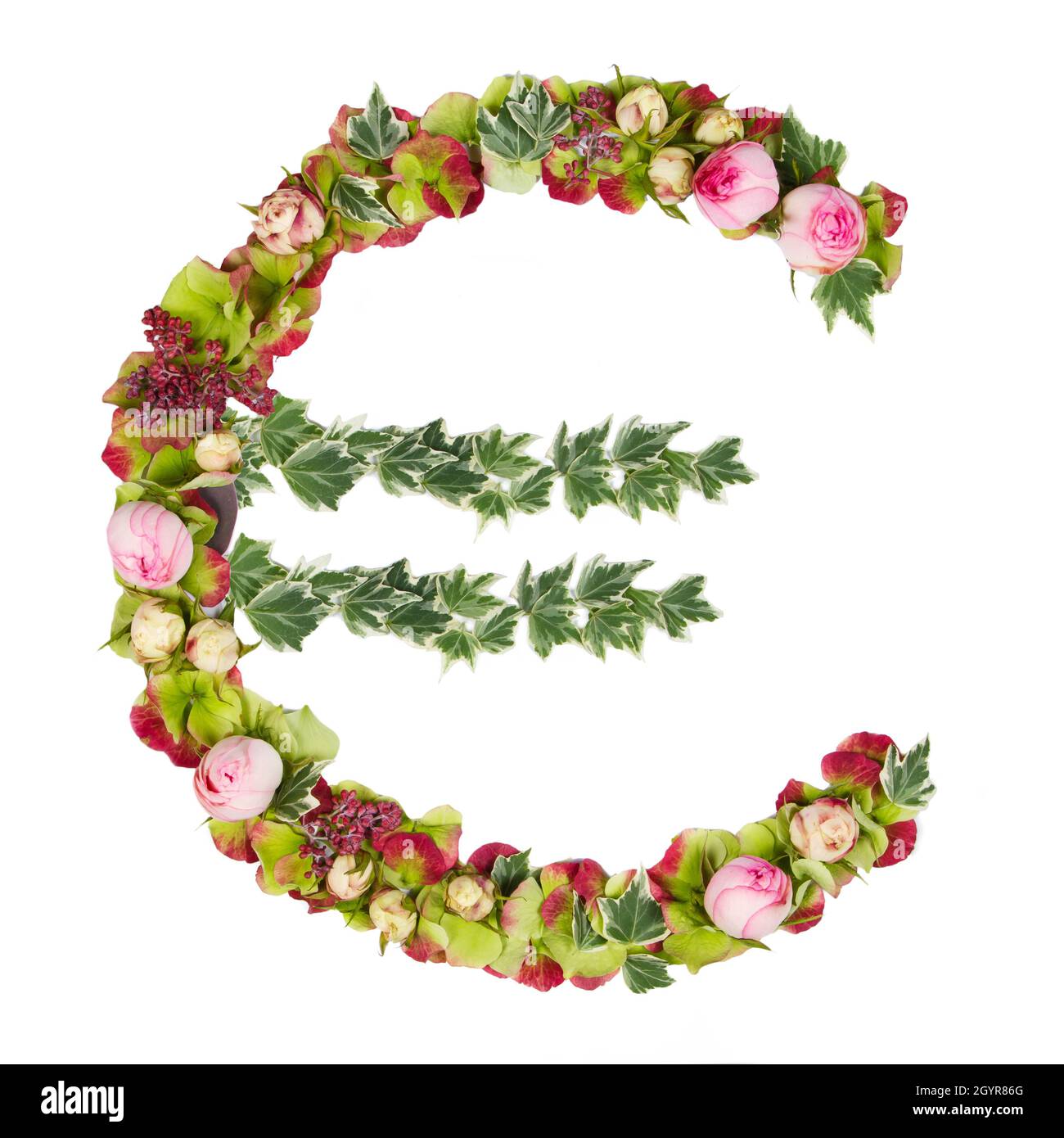 Euro simbolo parte di un insieme di lettere, numeri e simboli dell'Alfabeto fatto con fiori, rami e foglie su sfondo bianco Foto Stock