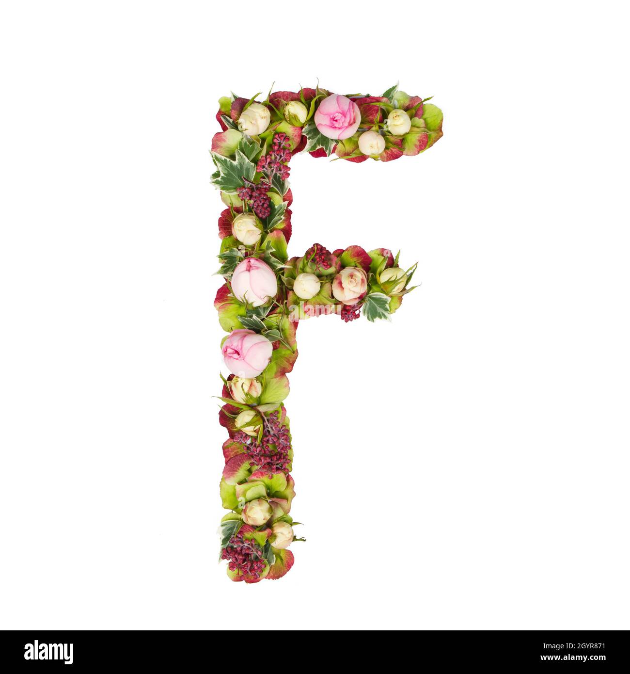 Lettera maiuscola F parte di un insieme di lettere, numeri e simboli dell'alfabeto realizzato con fiori, rami e foglie su sfondo bianco Foto Stock