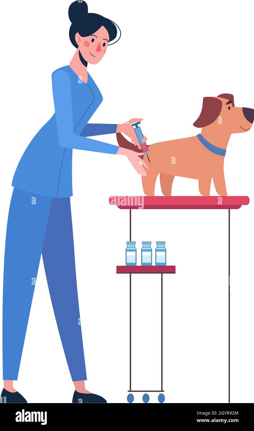 Illustrazione con un veterinario che vaccina un cane. Vaccinazione di animali domestici. Vettore in stile piatto isolato su sfondo bianco. Illustrazione Vettoriale