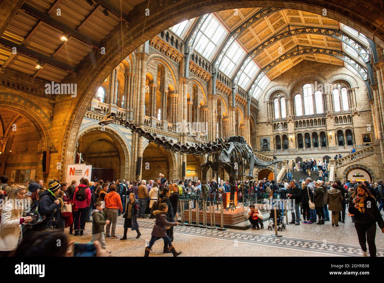 National History Museum, Londra, Inghilterra Foto Stock