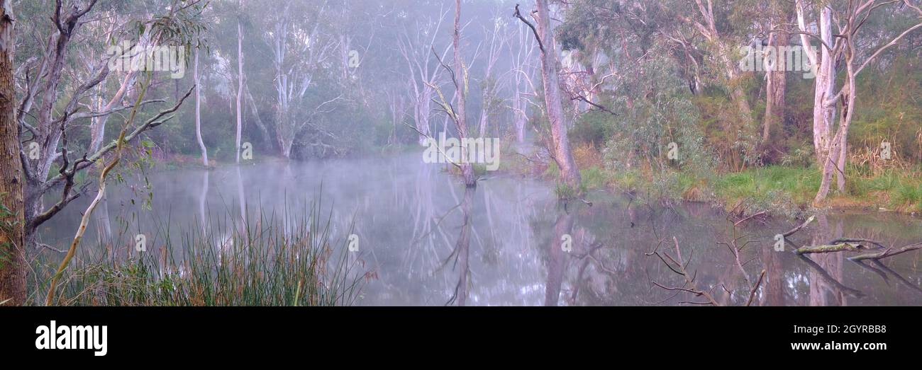 Panorama su Billabong di Misty Horsehoe Foto Stock
