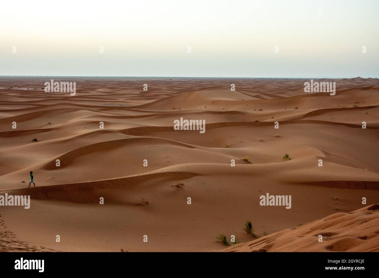 Sahara deserto paesaggio fotografato a Erg Chebbi, Marocco, Africa Foto Stock