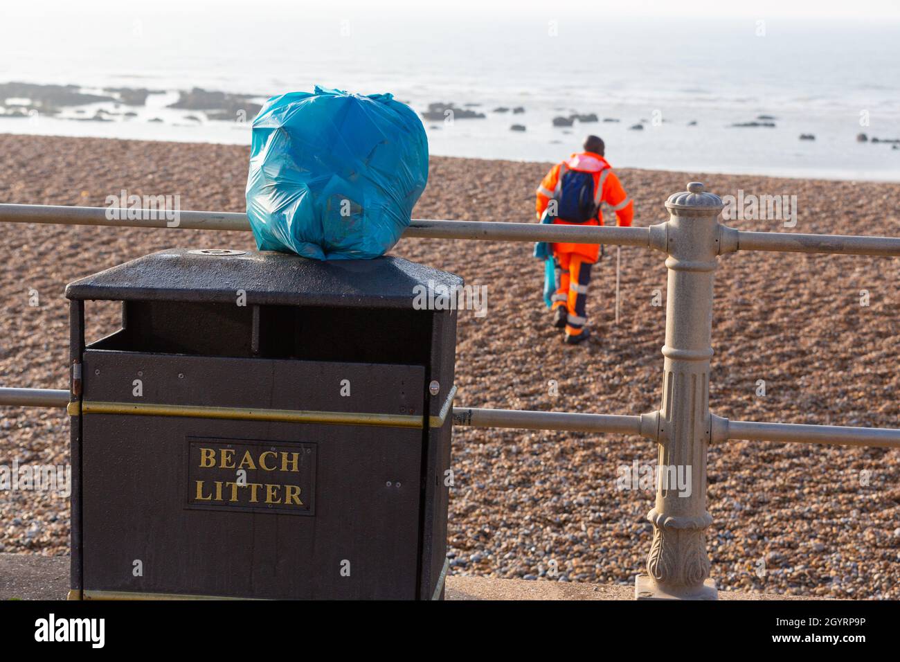 collezione di cuccioli da spiaggia, uomo che raccoglie cuccioli dalla spiaggia, hastings, sussex est, regno unito Foto Stock