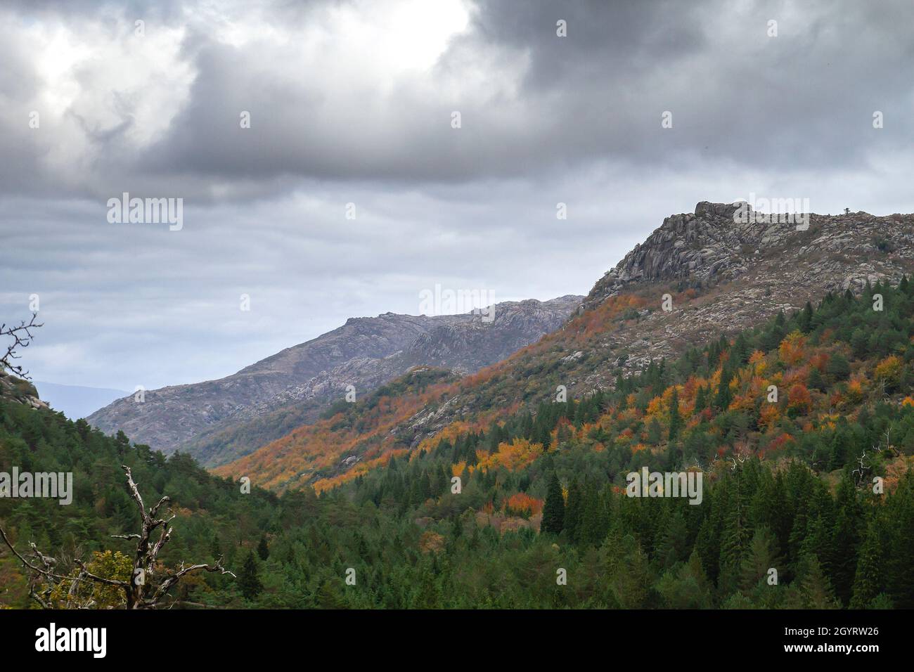 Montagne granitiche e paesaggio autunnale di latifoglie temperate e foreste miste nel Parco Nazionale di Peneda-Geres, Portogallo Foto Stock