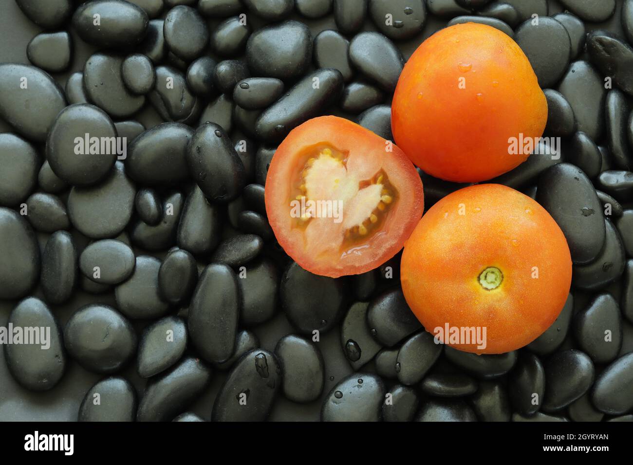 Pomodoro su pietra nera con pelle liscia lucida e bordo arrotondato. Lo sfondo nero in pietra fa sembrare il pomodoro eccezionale. Foto Stock