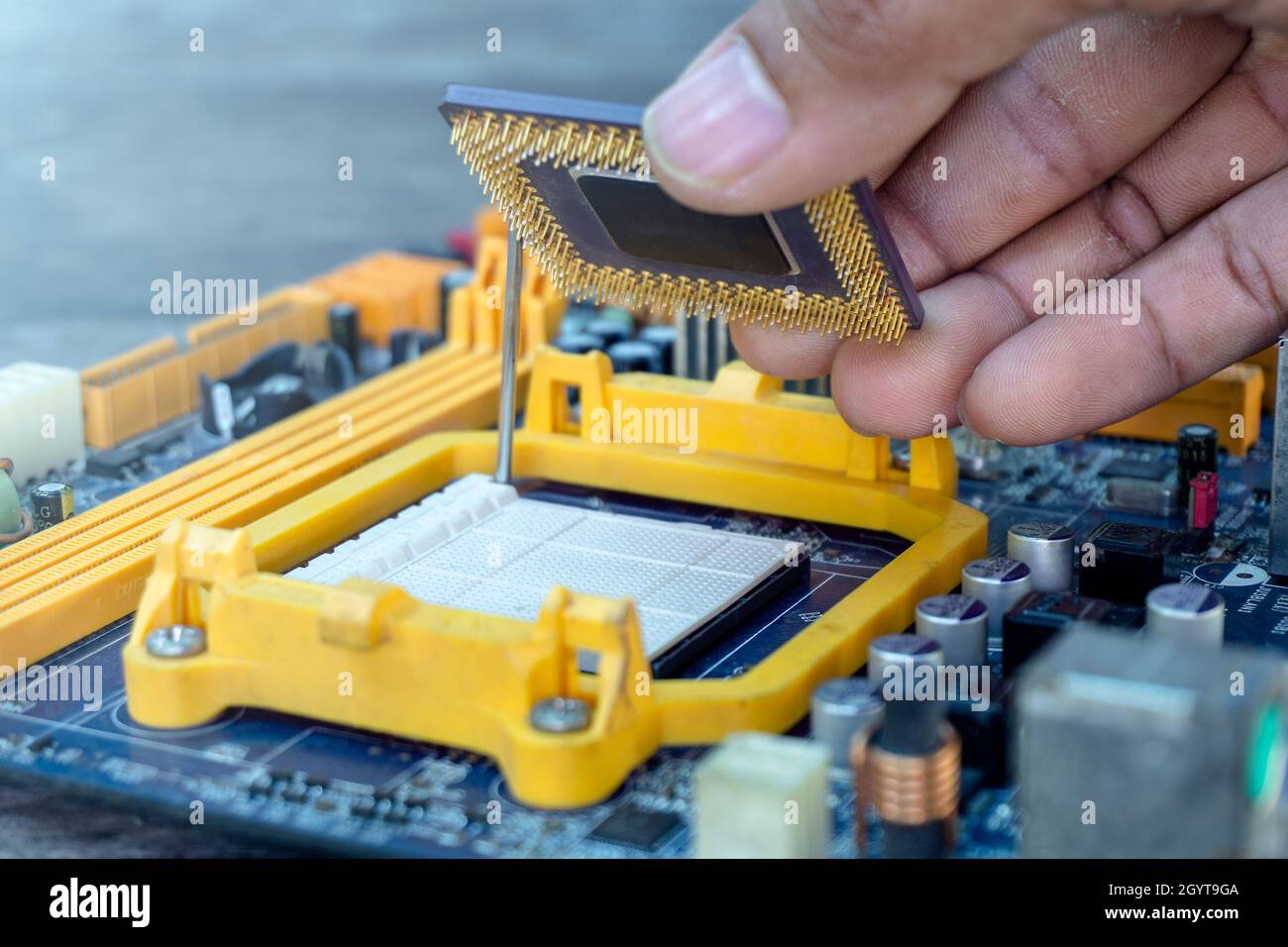 Mano del tecnico che tiene la CPU o l'unità centrale di elaborazione chip microprocessore di fissaggio e aggiornare il computer pc per la riparazione all'interno della scheda madre socket Foto Stock
