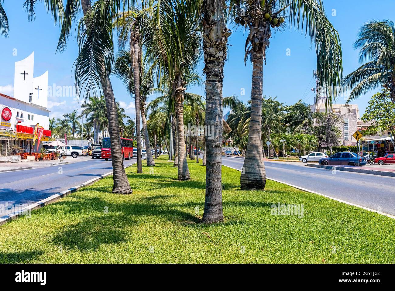 Palme e erba sul divisorio con traffico stradale e negozi Foto Stock