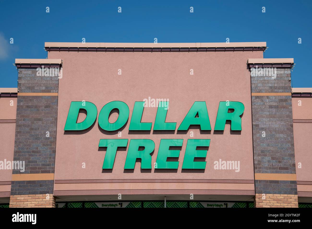 Vadnais Heights, Minnesota. Dollar Tree store, un negozio di varietà di sconto è una fortuna 500 società. Foto Stock