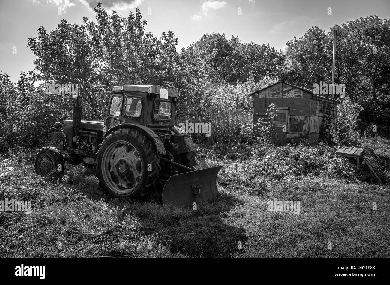 Trattore rosso nei boschi di Bolgar, Tatarstan. Bianco e nero. Foto Stock