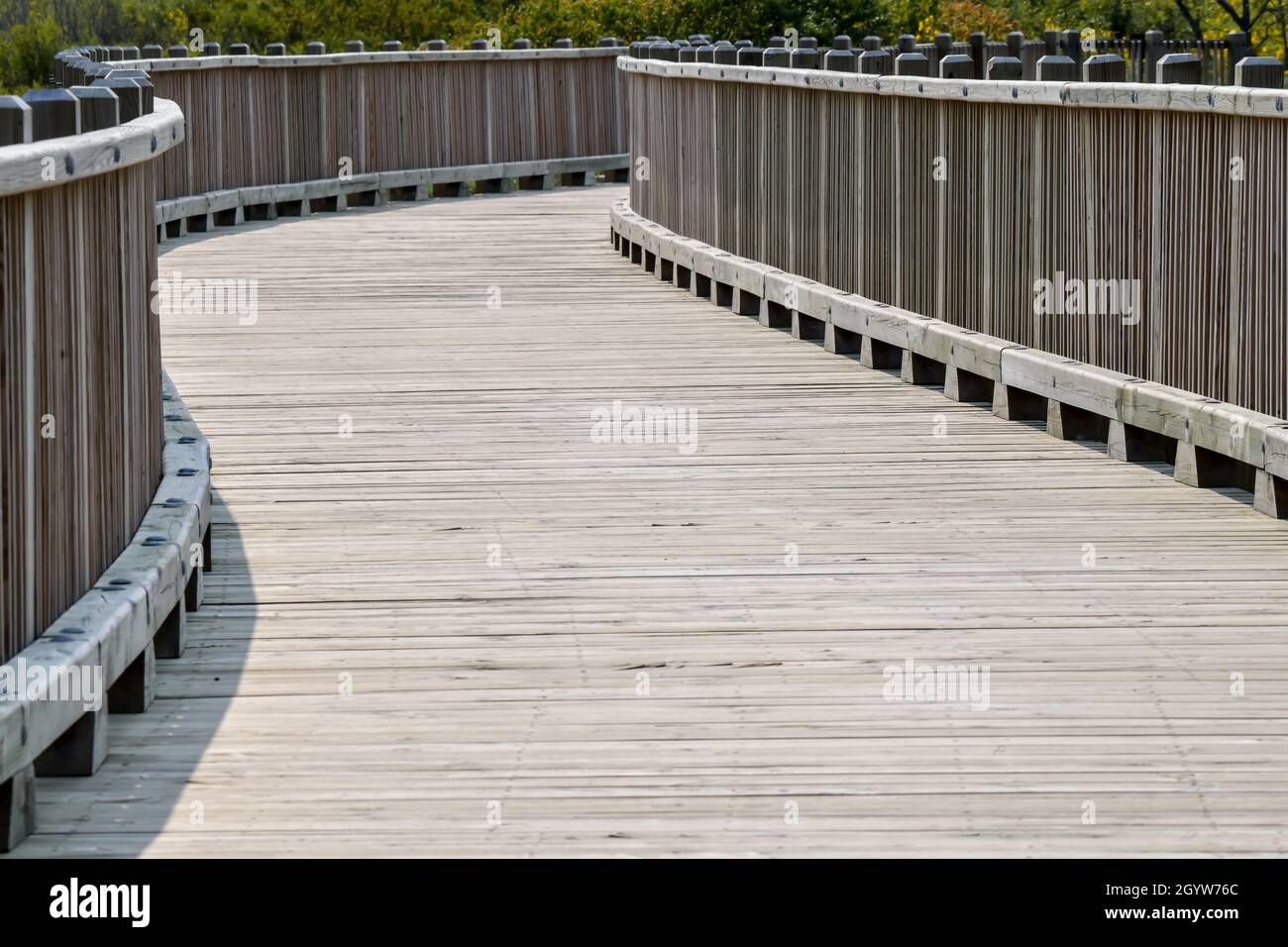 Sentiero escursionistico lungo il lungomare in legno attraverso i boschi Foto Stock