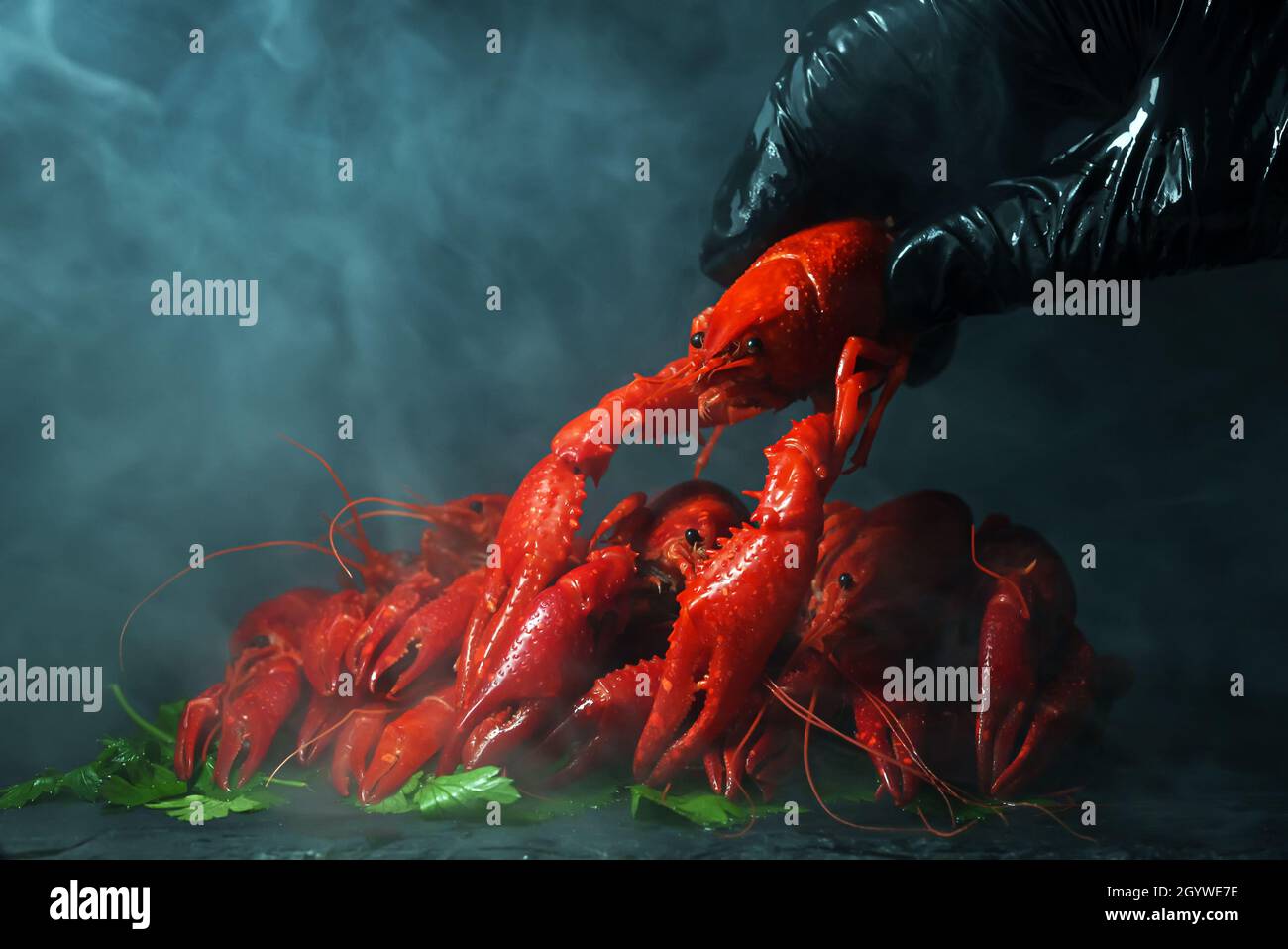 Chef cucinare mettendo preparato crawfish bollito. Foto Stock