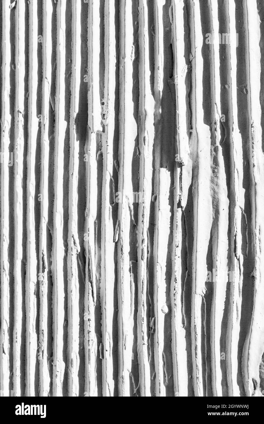 Western Red Cedar si trova all'esterno di un edificio con un pesante cappotto di vernice al Britannia Ship Yard a Steveston British Columbia Canada Foto Stock