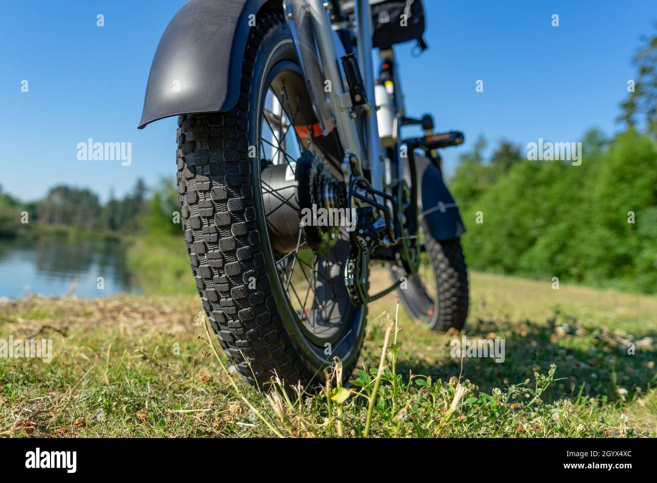 EBike Fat Tire sul percorso coperto dell'erba Foto Stock