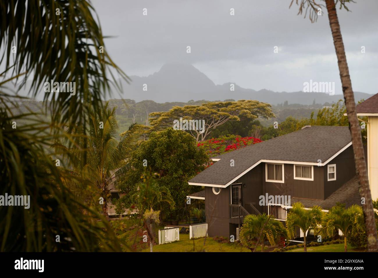 Vista verso il monte Haupu da Kalaheo su Kauai Foto Stock