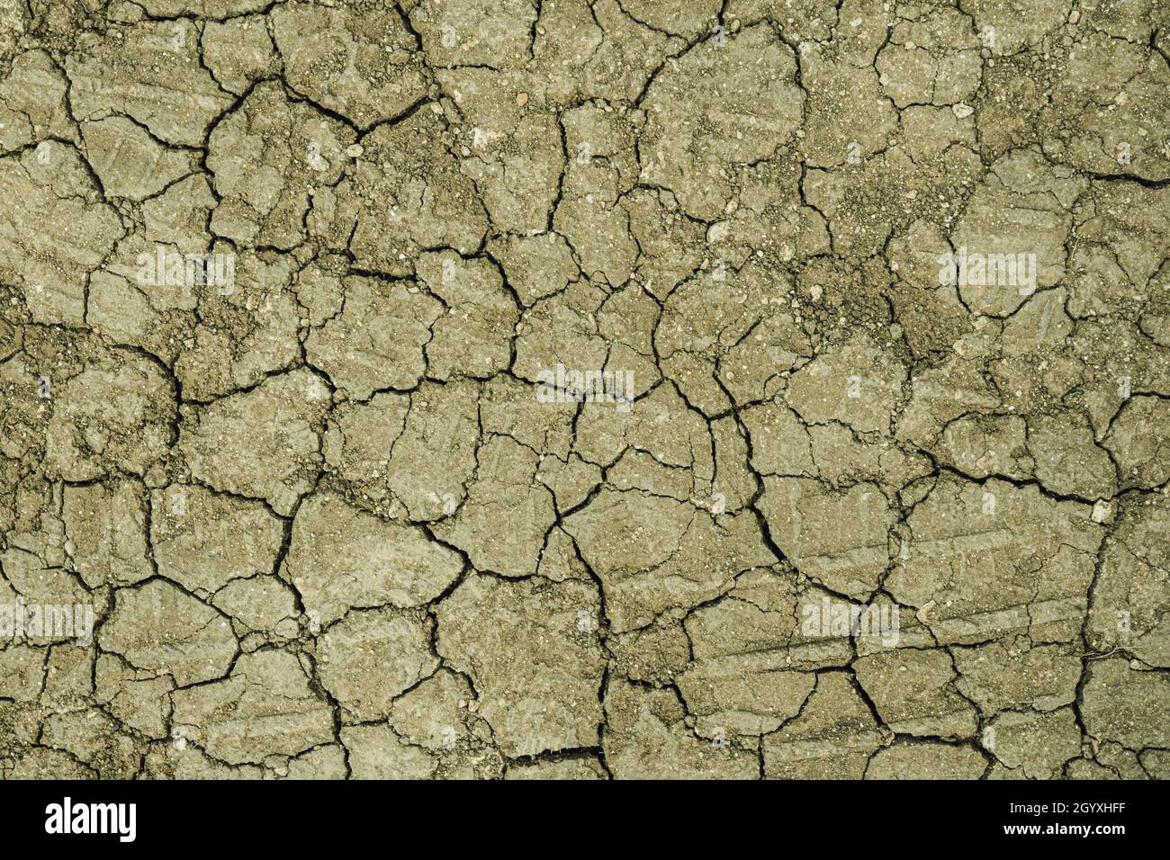 Terra di cracking asciutta e marrone. La struttura di creta asciugata e modelli superficie incrinata di creta e terra. Foto Stock