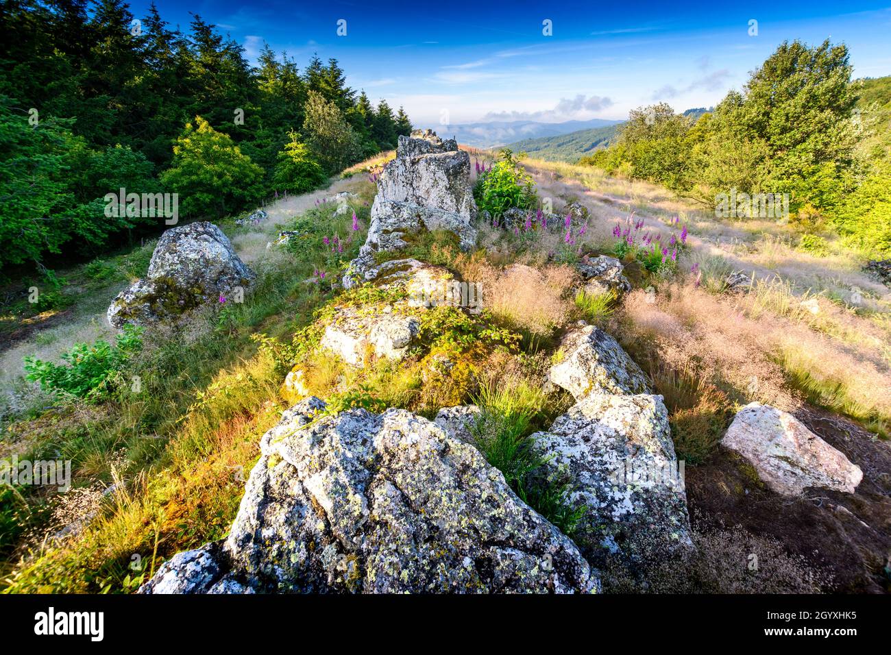 Crinale granitico di Chiroubles a Beaujolais in Francia Foto Stock