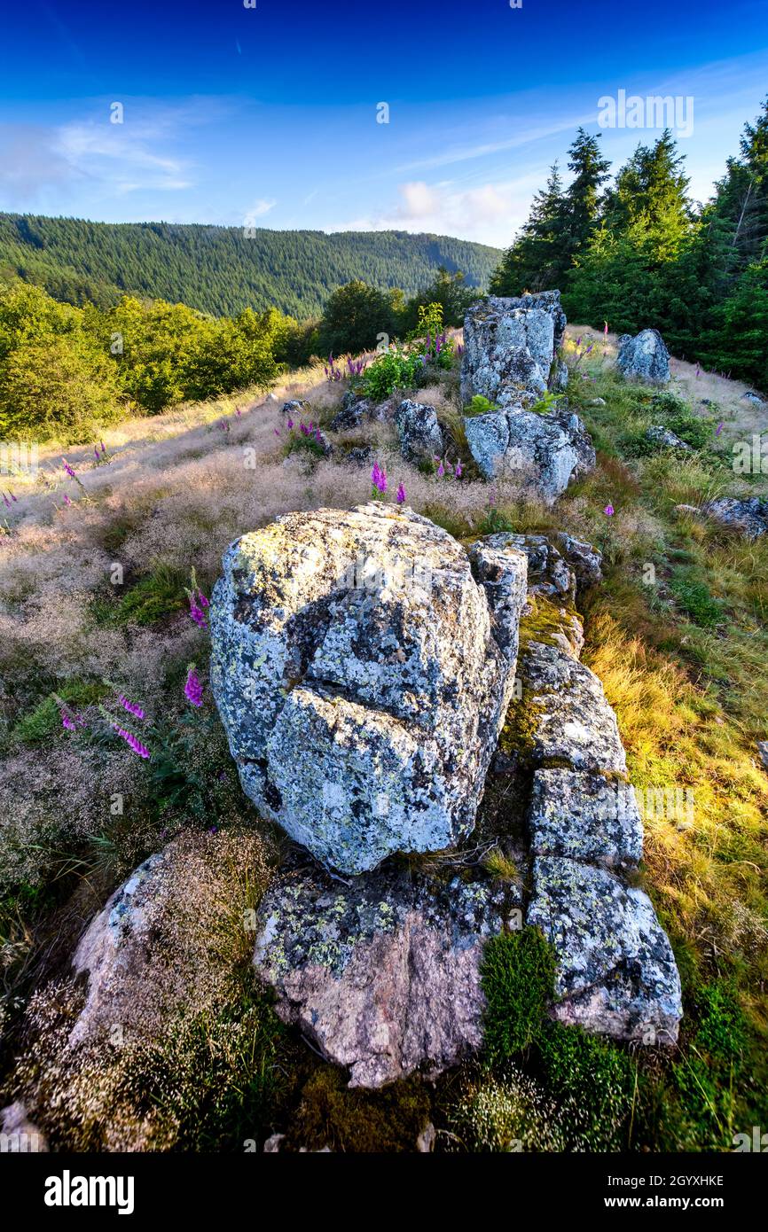 Crinale granitico di Chiroubles a Beaujolais in Francia Foto Stock