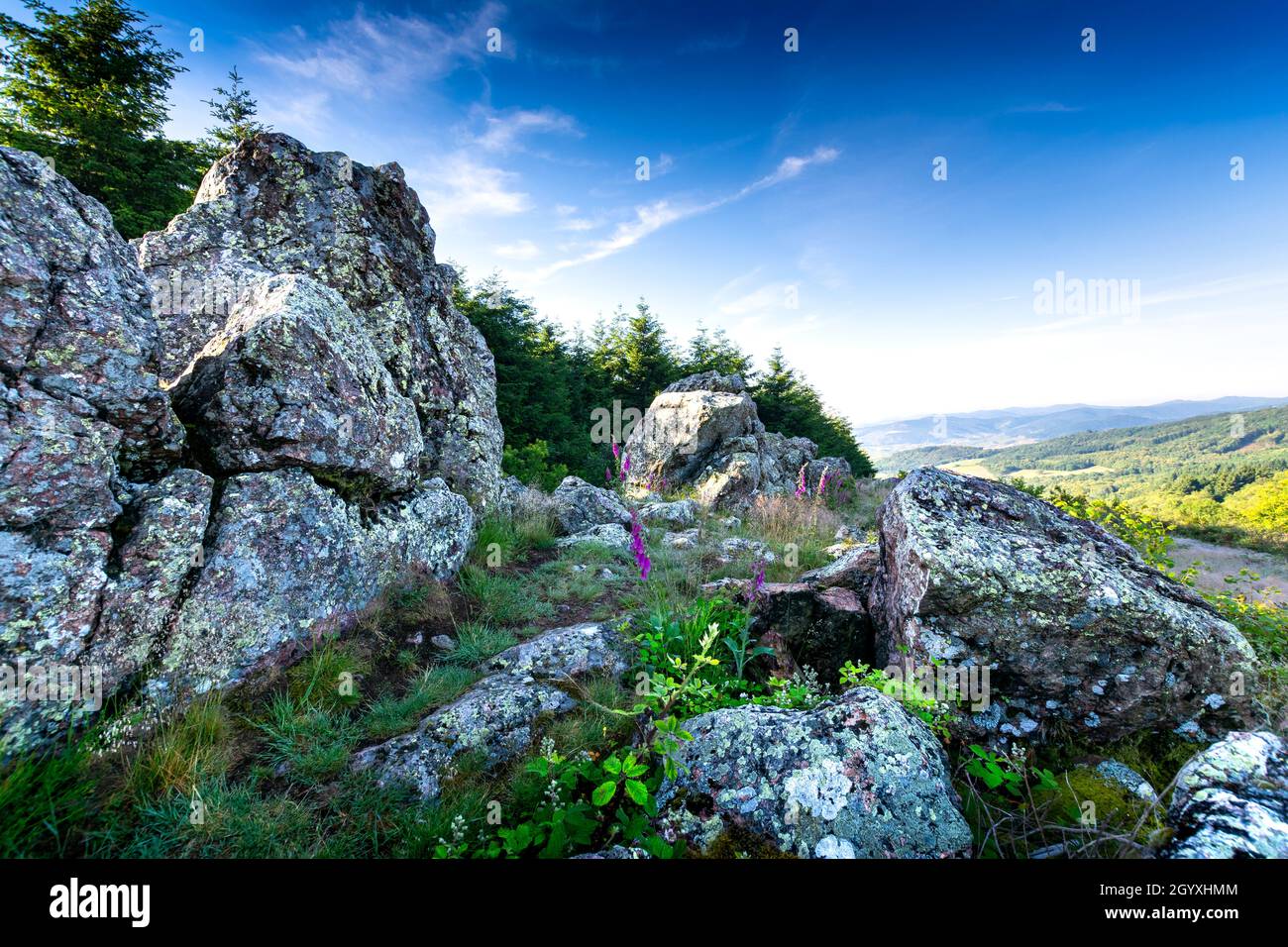 Crinale granitico di Chiroubles a Beaujolais in Francia Foto Stock
