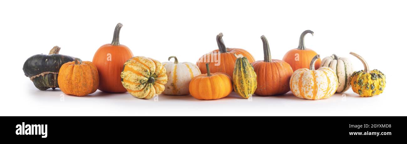 Molte e diverse varietà di zucche isolati su sfondo bianco, Halloween o giorno del Ringraziamento concept Foto Stock