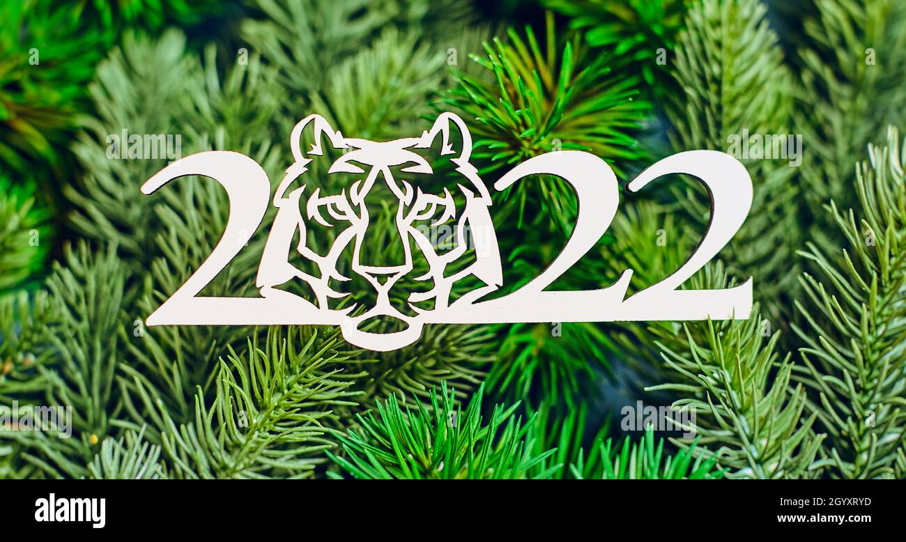 Capodanno della Tigre 2022 , buon Natale e Felice Anno Nuovo. Foto Stock