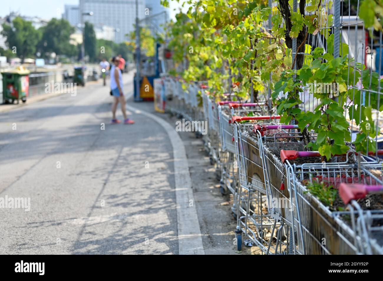 In uno spazio riservato ai passeggini lungo un fiume in una grande città, l'area è separata in un bar con carrelli pieni di fiori. Foto Stock