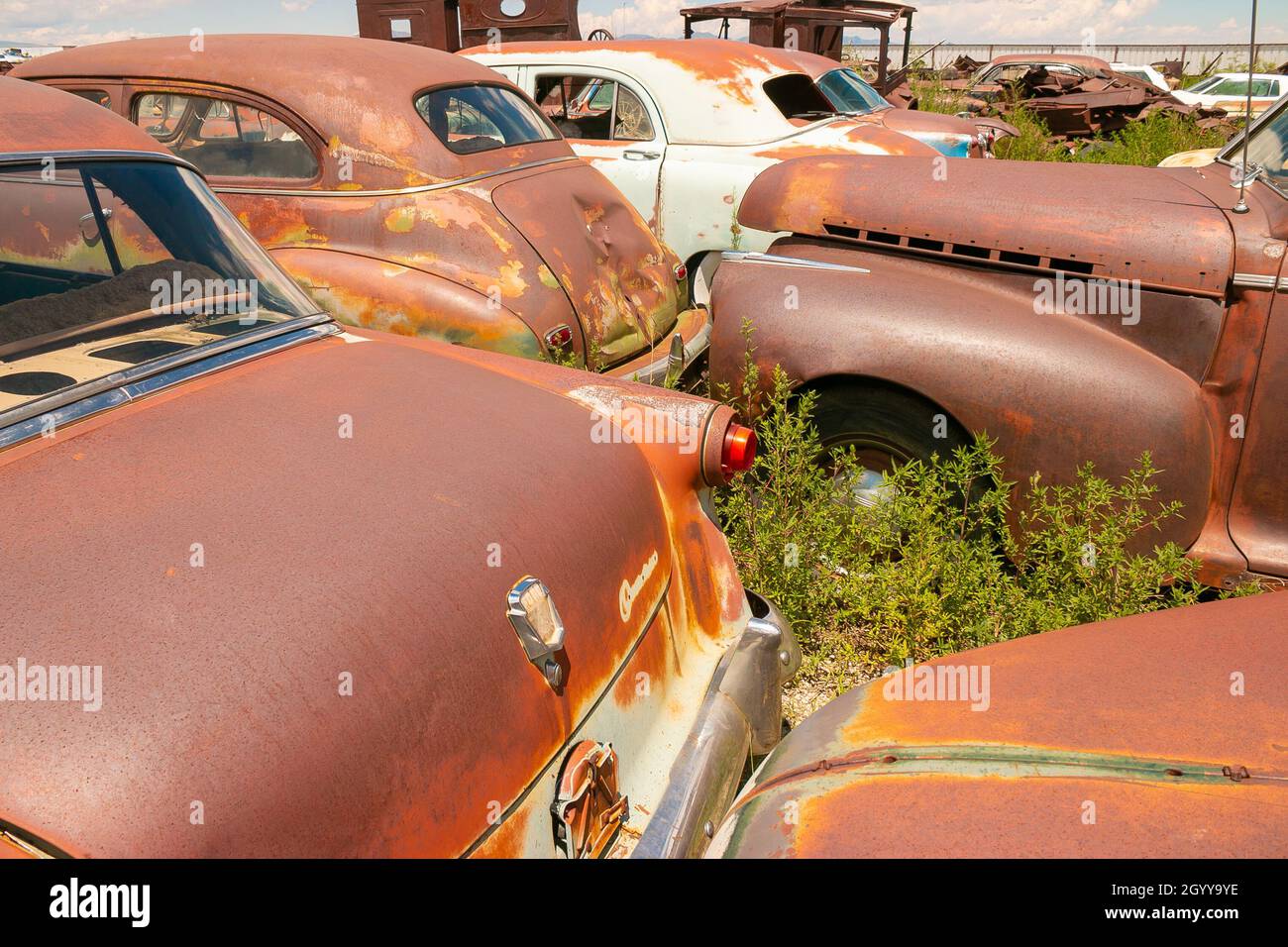 Auto e camion d'epoca arrugginiti americani in junkyard Foto Stock