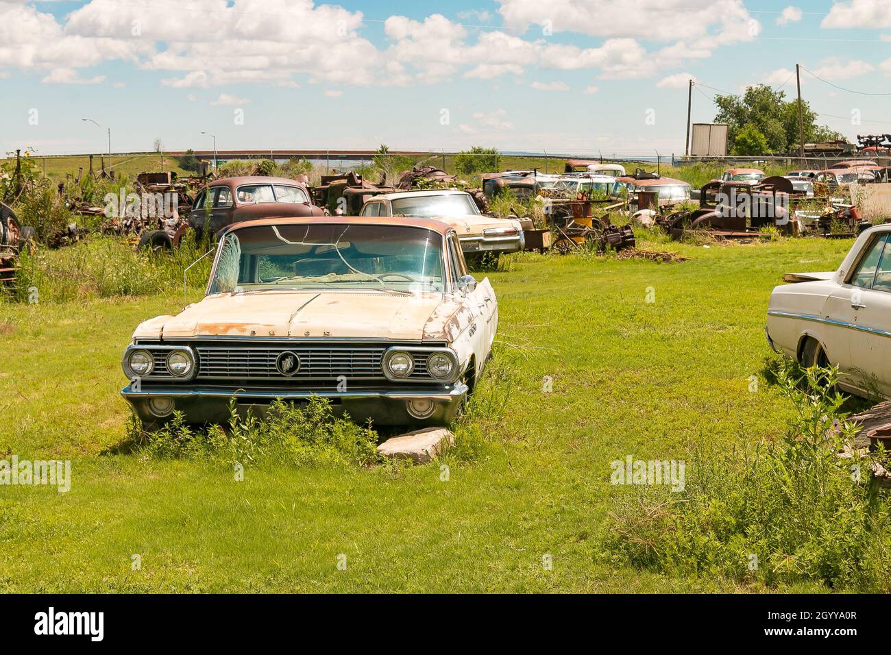 auto e camion vintage americani in junkyard Foto Stock