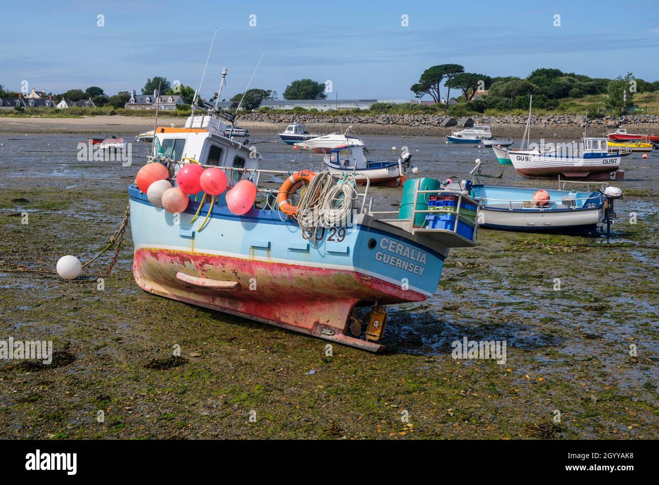 Barche a bassa marea nel porto di Bordeaux, Guernsey, Isole del canale Foto Stock