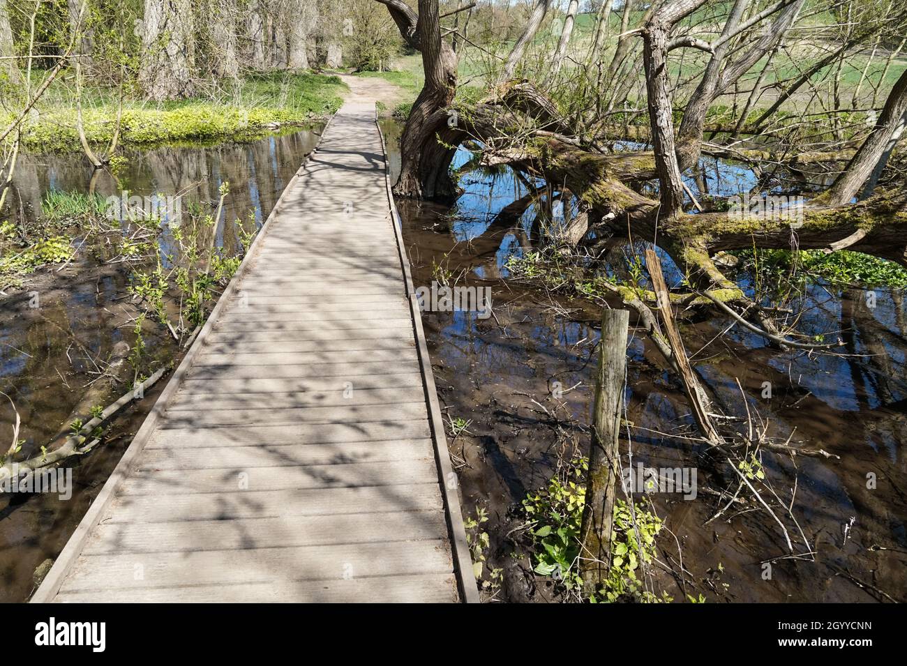 Passerella in legno sul fiume Chess in Hertfordshire, Inghilterra Regno Unito Foto Stock