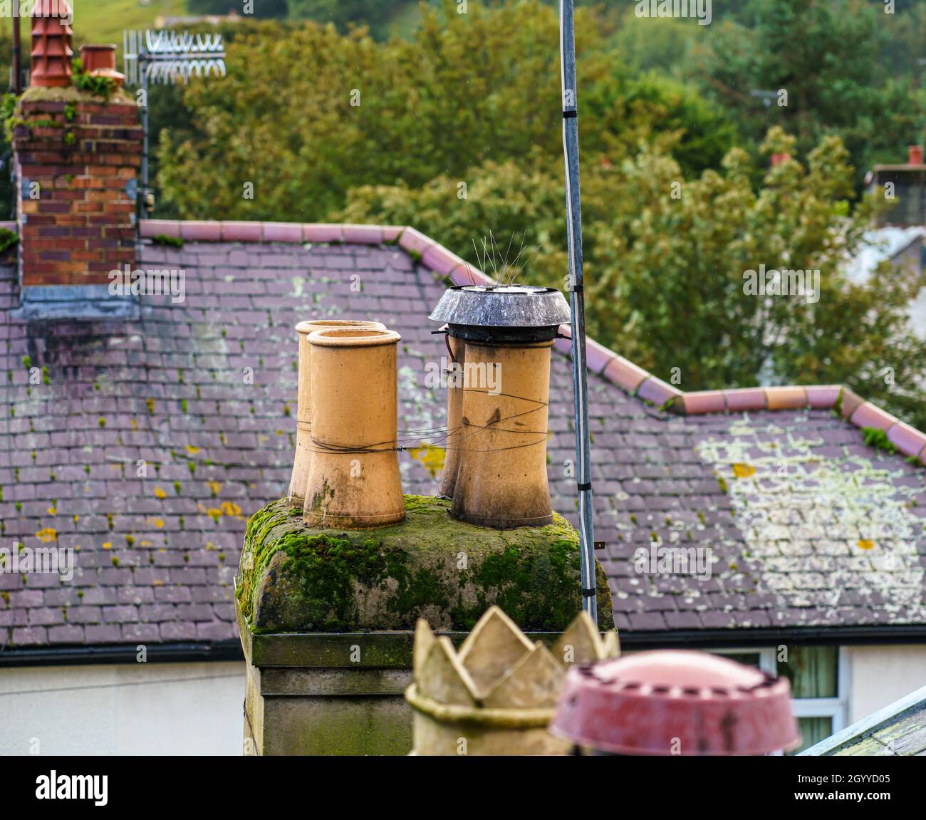 Pentole di camino sul tetto visto dal livello degli occhi sulla passeggiata medievale delle mura della città di Conwy Foto Stock