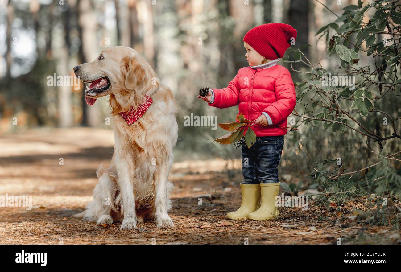 Bambino con cane Golden Retriever Foto Stock