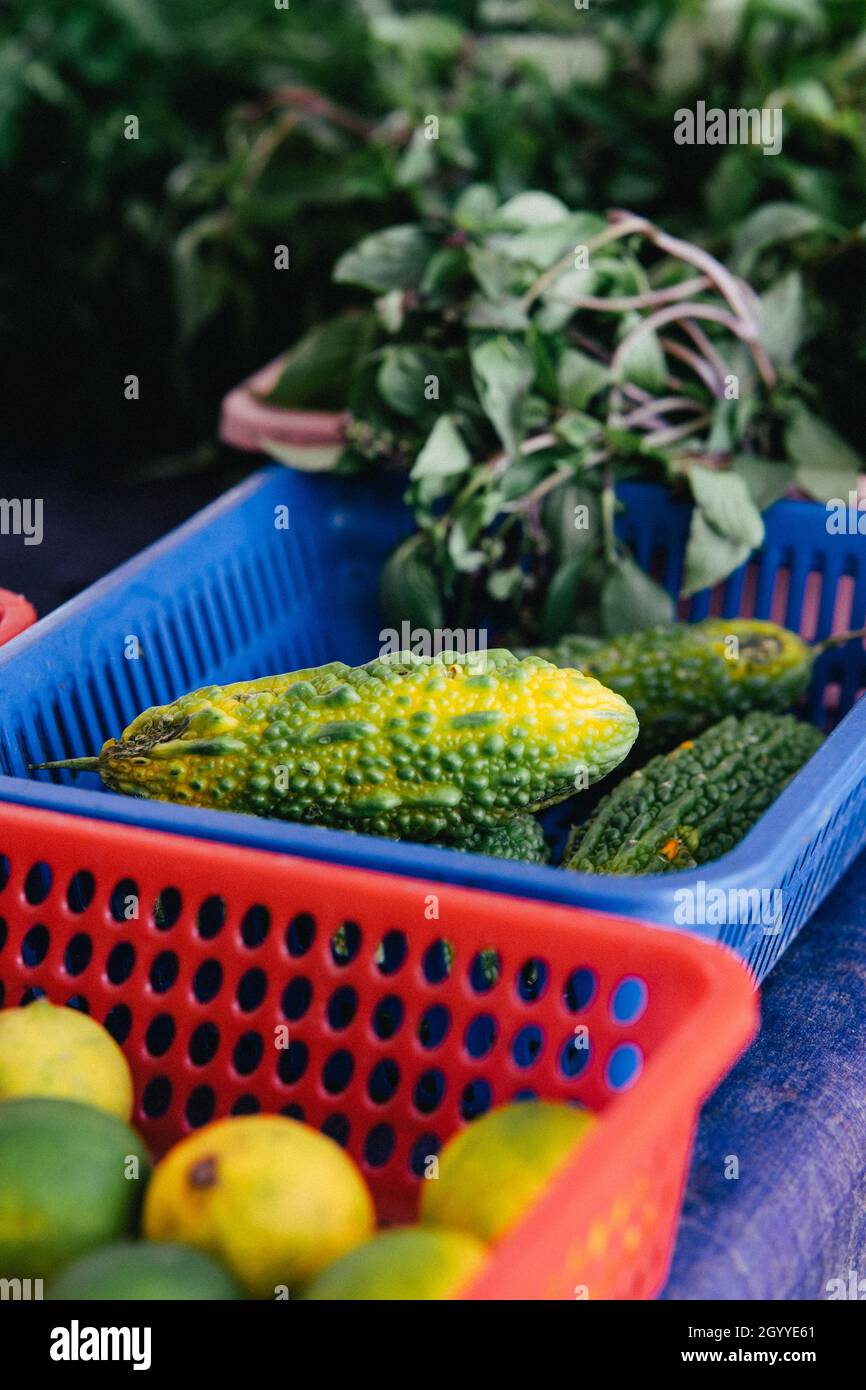 Zucca amara o amara mellon con altri ingredienti locali in Malesia al mercato. Foto Stock