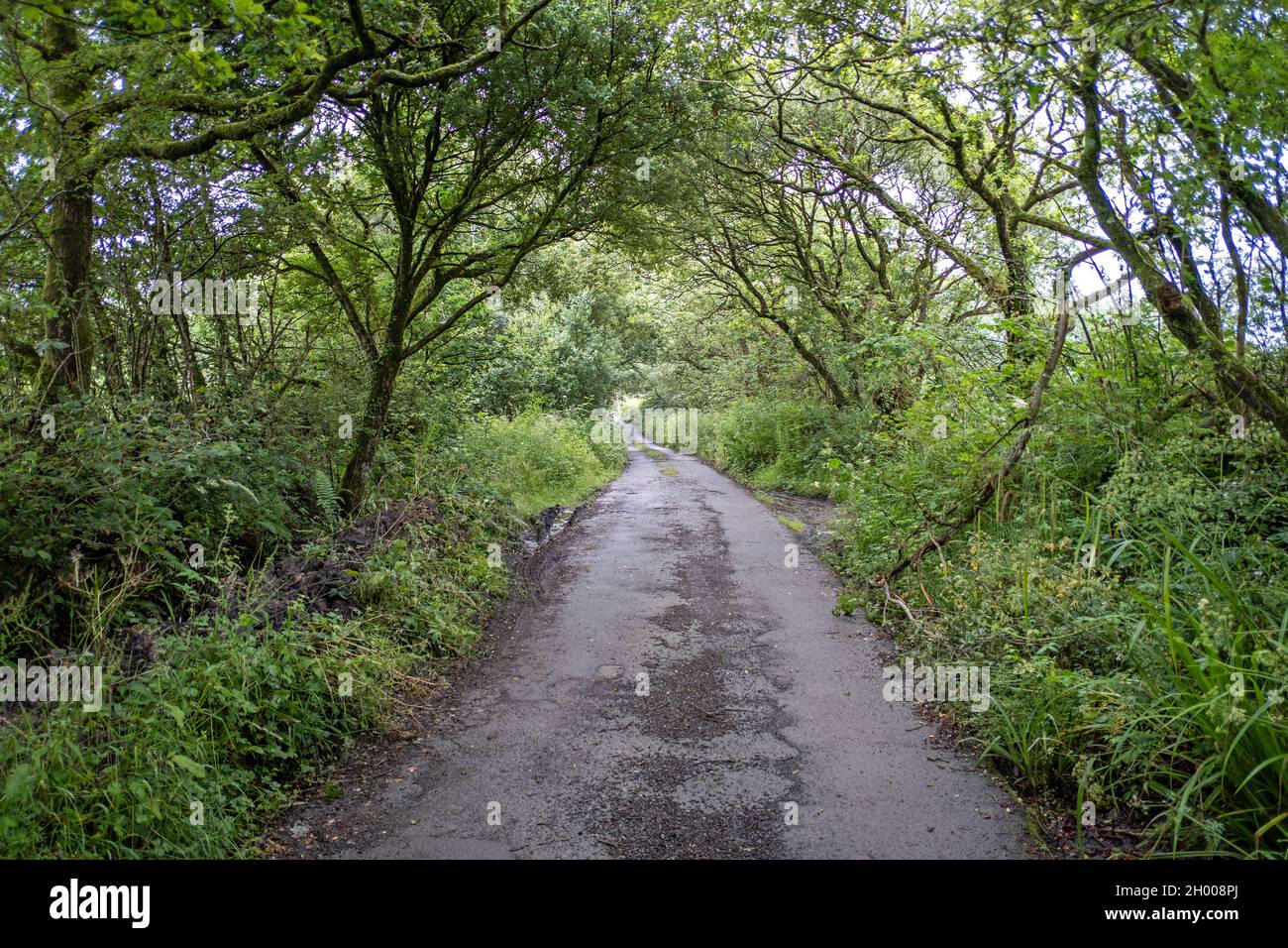 Vicolo del paese Foto Stock