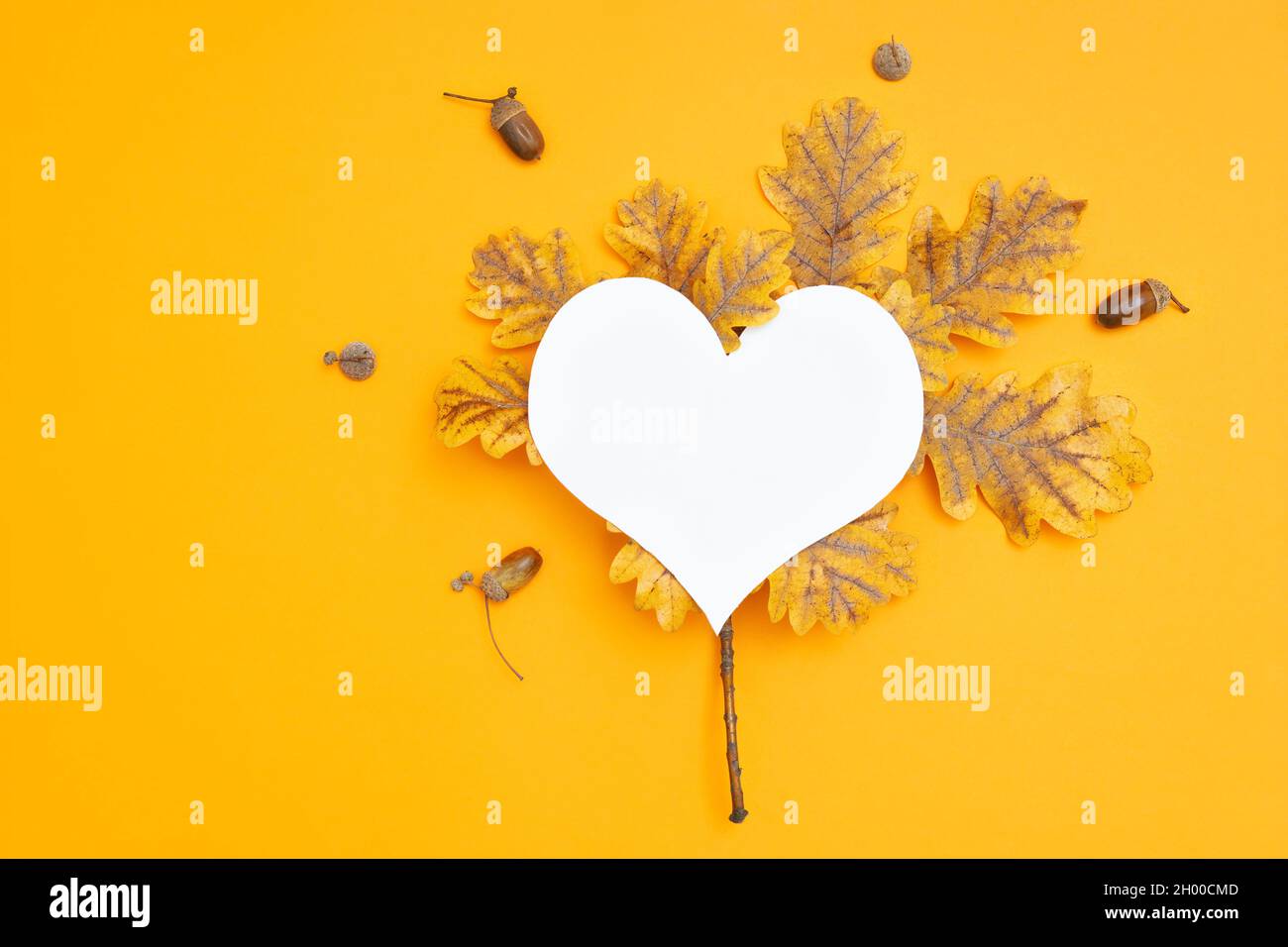 Vibrante sfondo autunnale fatto di foglie autunnali pigmentate, ghiande e un taglio di carta a forma di cuore su sfondo giallo. Foto Stock