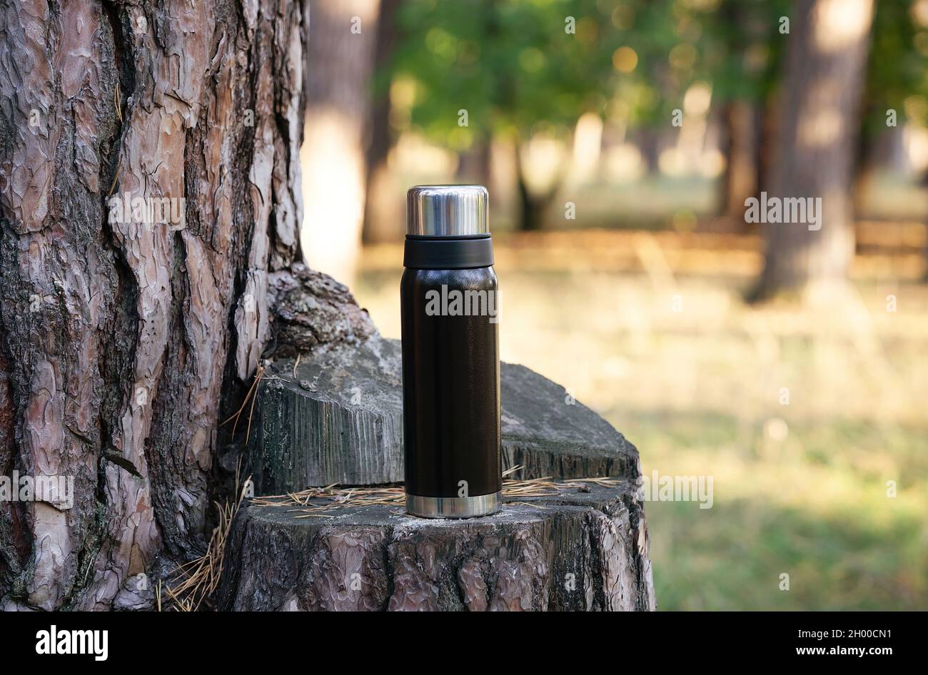 Thermos a vuoto neri su un ceppo di albero. Sfondo della foresta sfocato, spazio di copia. Foto Stock