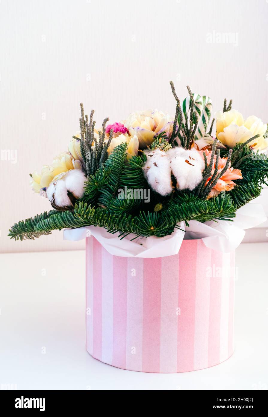 Bella composizione floreale invernale con fiore di cotone, rami di abete rosso, tulipani e garofani in una scatola a righe. Foto Stock