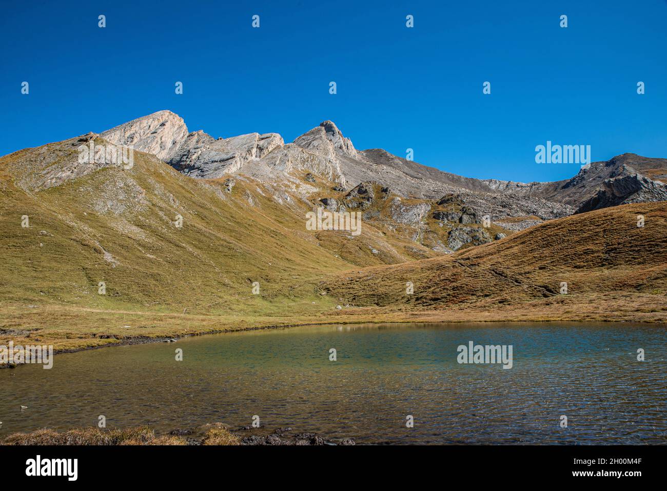 Colle dell'Agnello a circa 2800 metri sul livello del mare, al confine tra  la provincia di Cuneo e la Francia. Laghi alpini e picchi enormi, sui quali  Foto stock - Alamy
