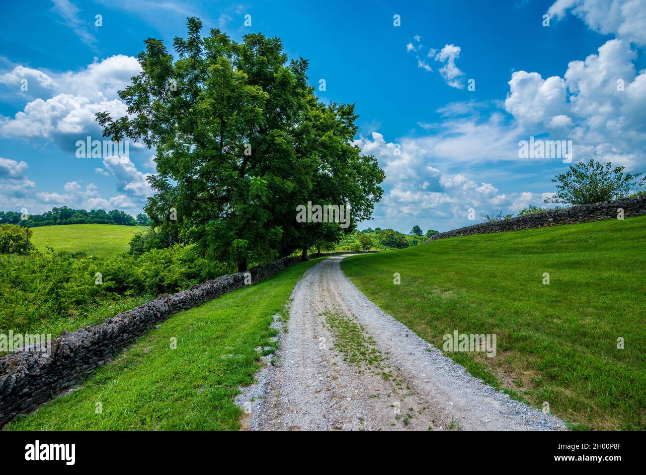 Country Road and Stone Wall - Shakertown - Contea di Mercer - Kentucky Foto Stock