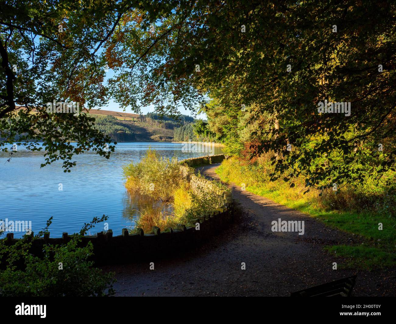 Entwistle Reservoir con colourful autunno fogliame sentiero che conduce intorno alle acque bordo giorno di sole con cielo blu Foto Stock