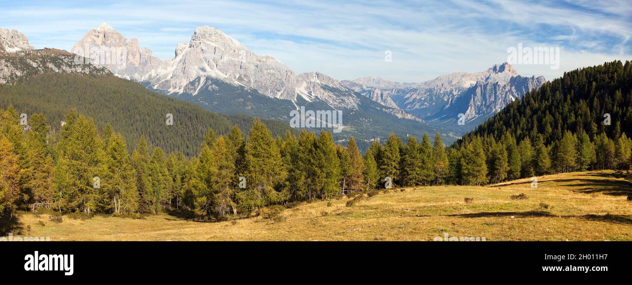 Vista sul prato, il bosco di Larch, le Tofane Gruppe e Hohe Gaisl, Dolomiti, Italia Foto Stock