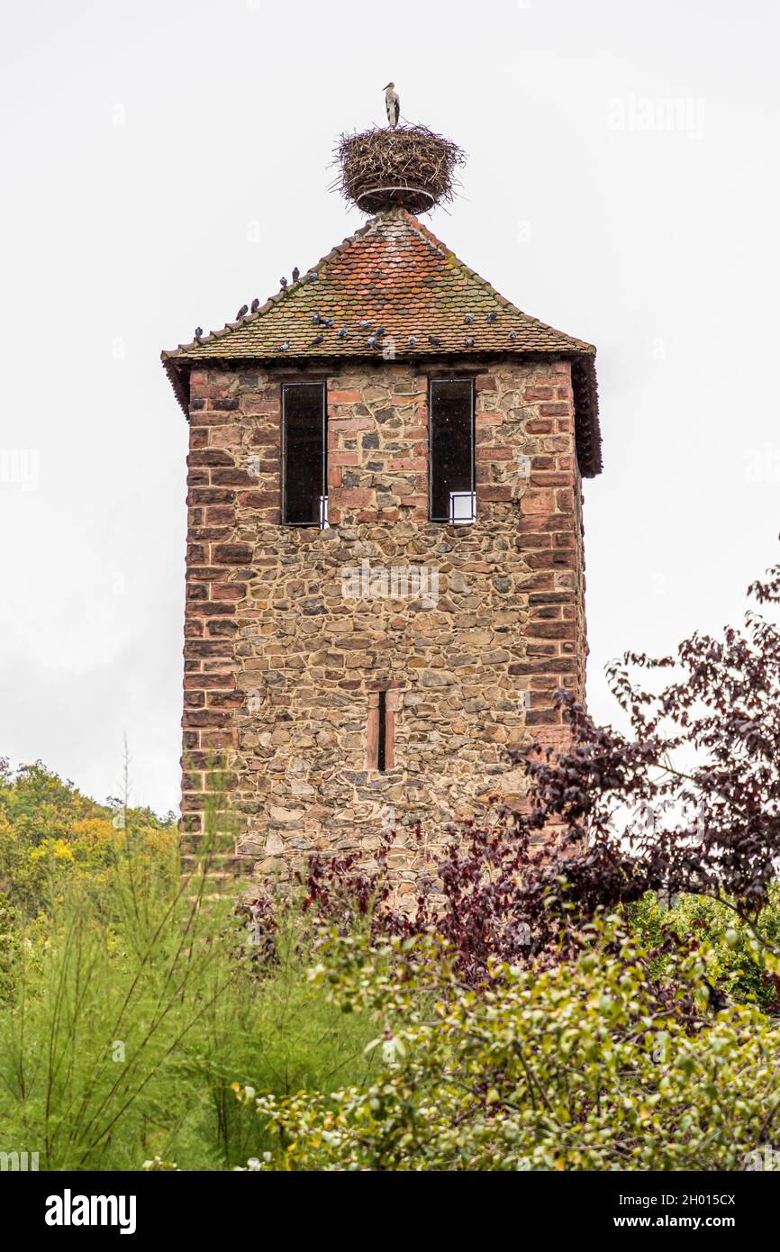 Cicogna e colombe sulla Kessler Tower a Kaysersberg, Francia Foto Stock
