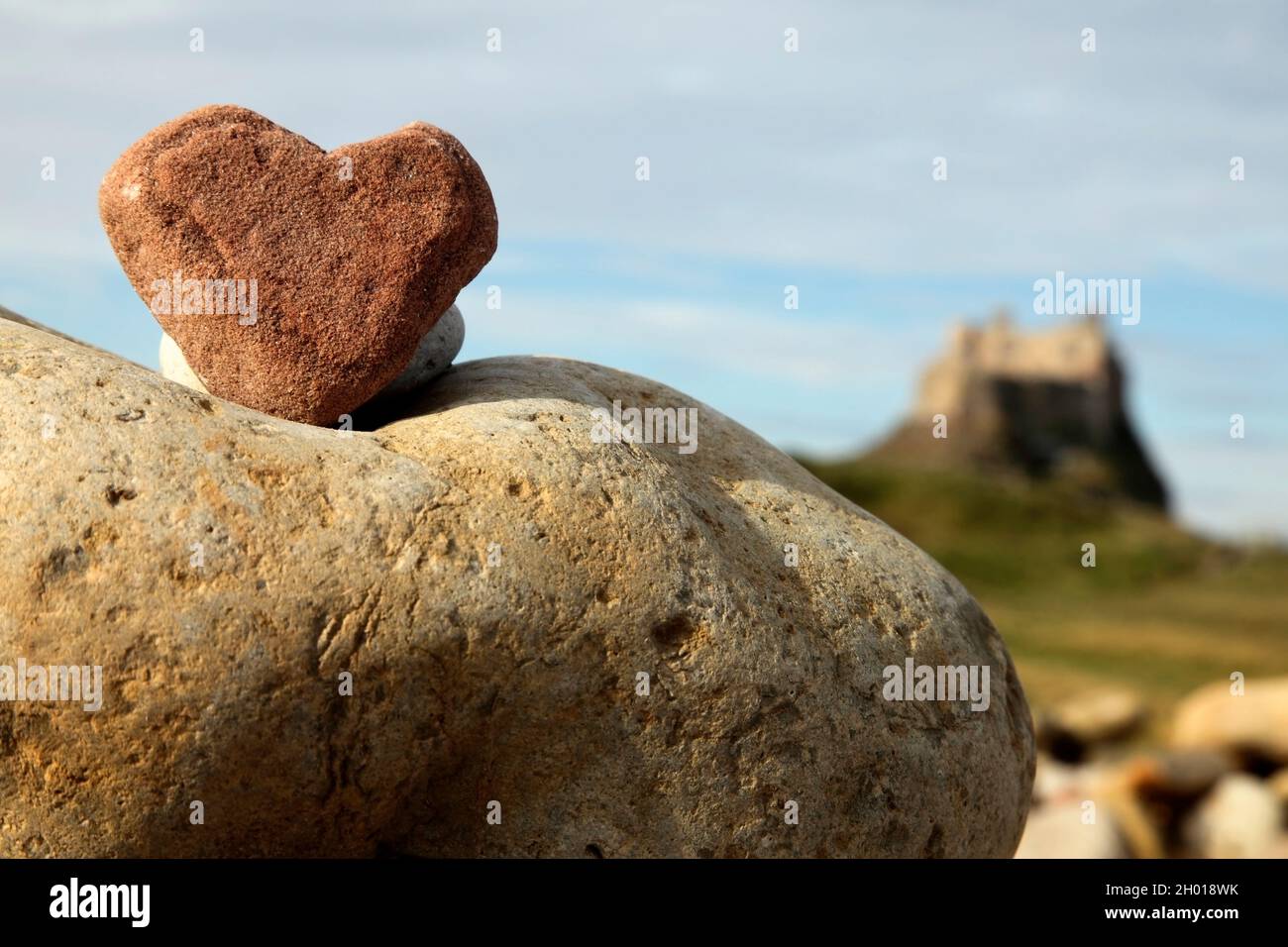 Pietra a forma di cuore di fronte al 16 ° secolo Lindisfarne Castello, Holy Island, Northumberland, Regno Unito. Foto Stock