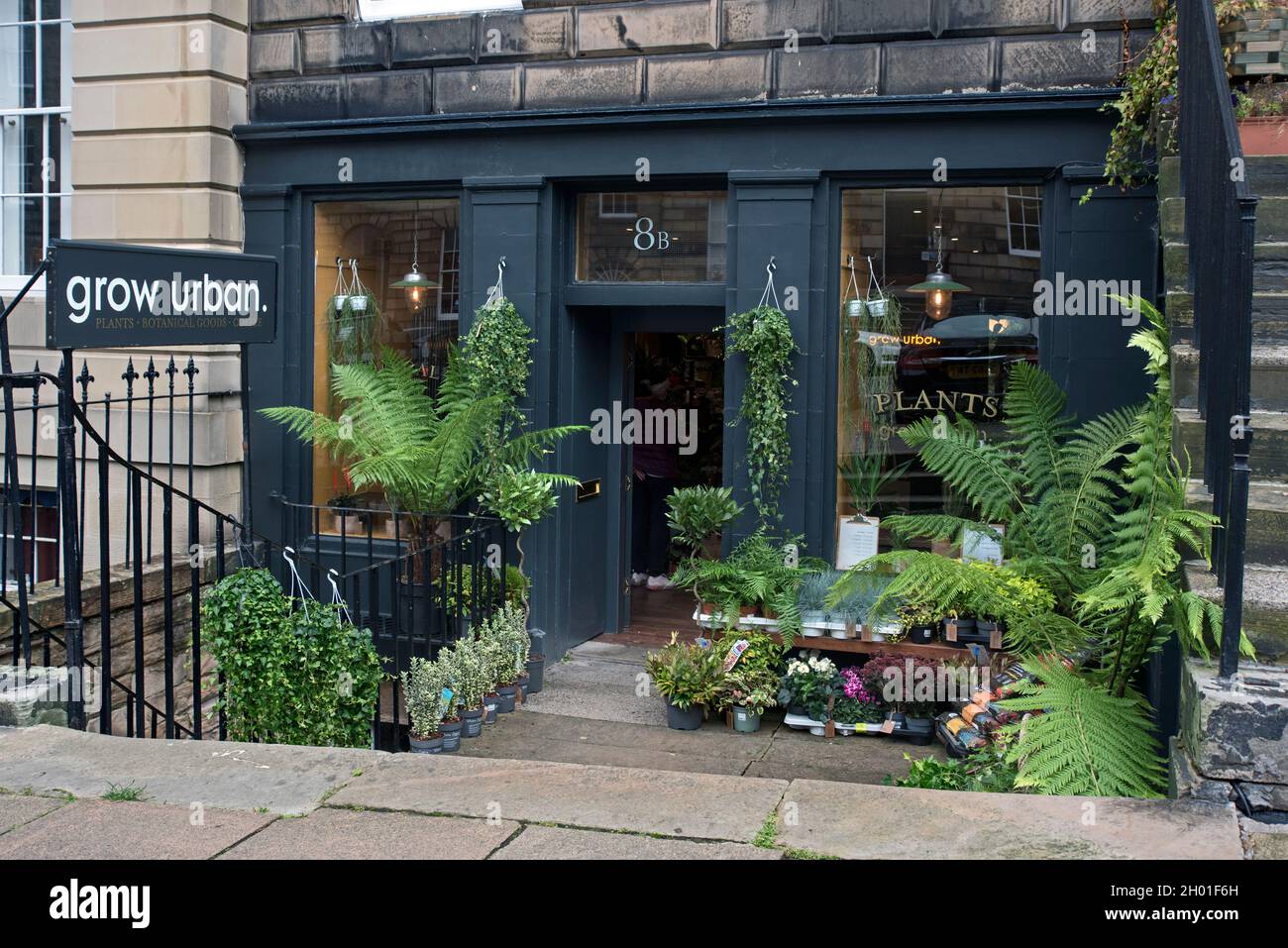 Grow Urban un negozio di piante, giardini e caffè a St Vincent Street, New Town, Edimburgo, Scozia, Regno Unito. Foto Stock