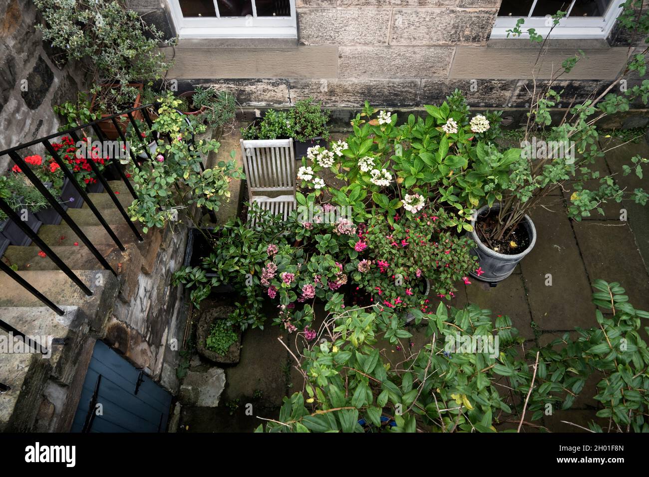 Giardino piano seminterrato in autunno nella città nuova, Edimburgo, Scozia, Regno Unito. Foto Stock