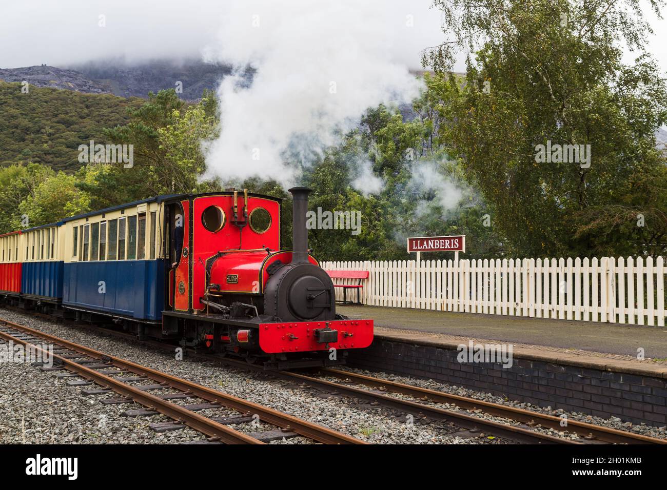 Treno a vapore rosso sulla Llanberis Lake Railway in avvicinamento ad una piattaforma nel mese di ottobre 2021 nel Galles del Nord. Foto Stock