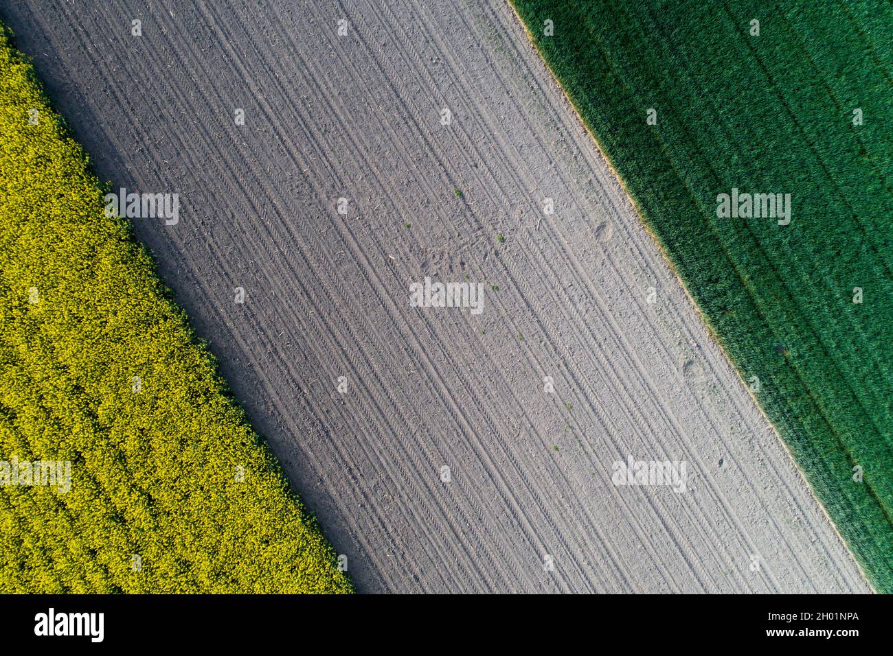 Immagine aerea del campo agricolo con culture e colori diversi in forma geometrica Foto Stock